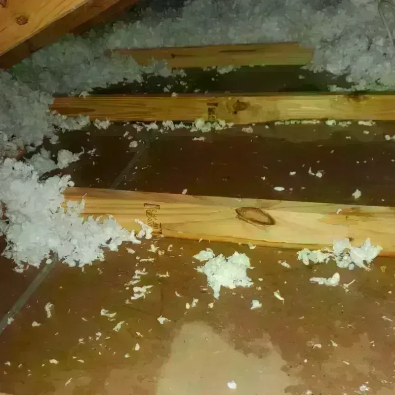 Attic Water Damage in South Fulton, TN